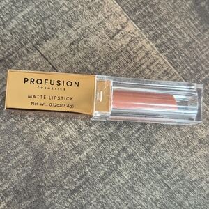 Profusion Cosmetics Matte Lipstick - Rich Terracotta Color - BRICK